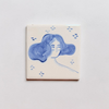 Her / Earth Coaster
