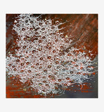 Stream of Consciousness