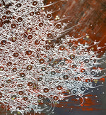 Stream of Consciousness